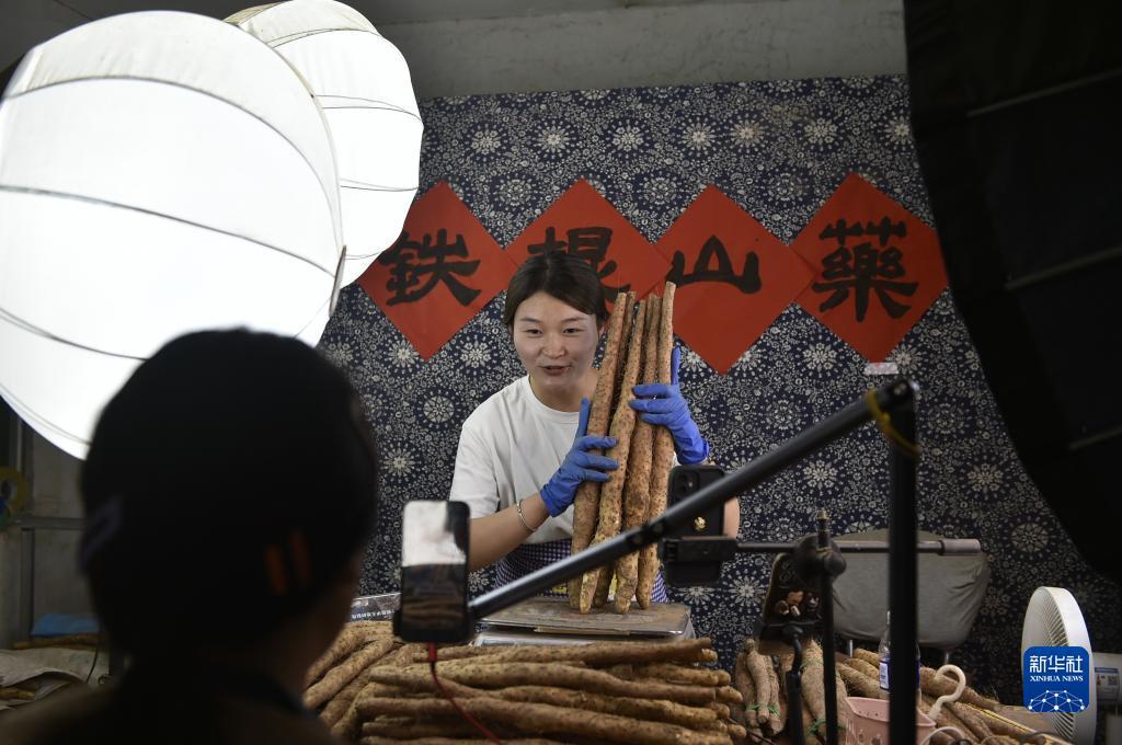 蜂鸟论坛全部板块